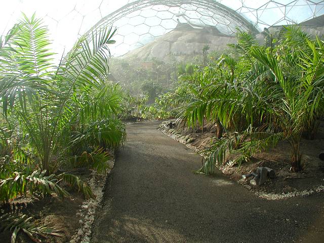 the eden project in cornwall				